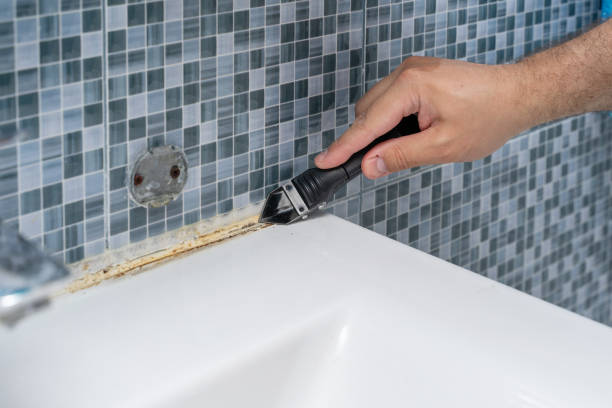 Best Local Mold Removal Service  in St Robert, MO
